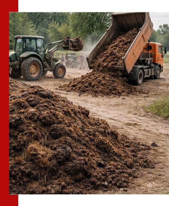 Доставка навоза самосвалами в Куйбышеве для сельхозпотребностей